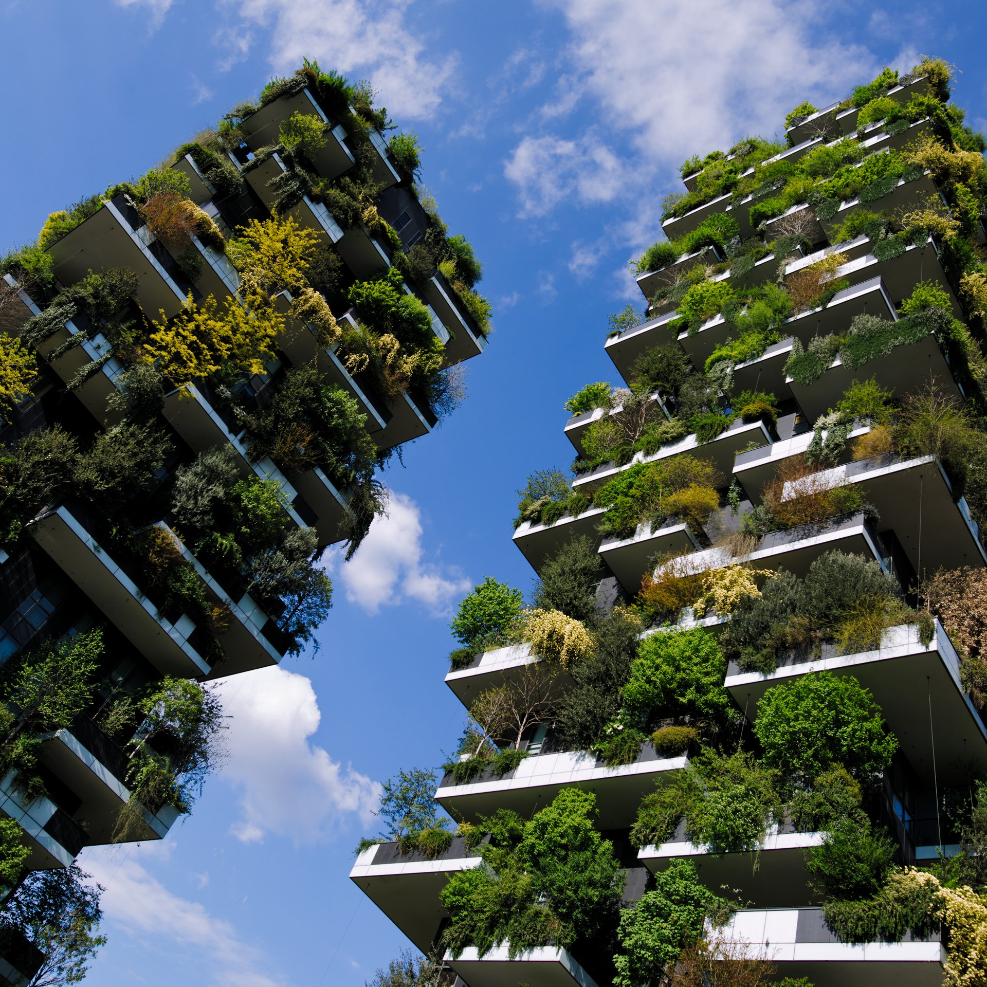 Il quartiere Isola e il Bosco Verticale